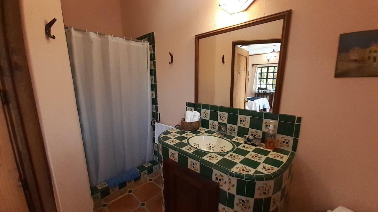 Casa Frida B&B San Miguel de Allende Dış mekan fotoğraf
